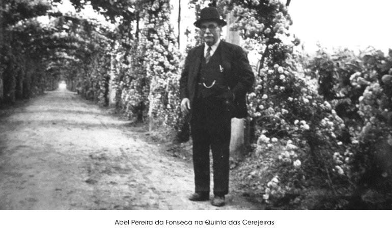 Abel Pereira da Fonseca