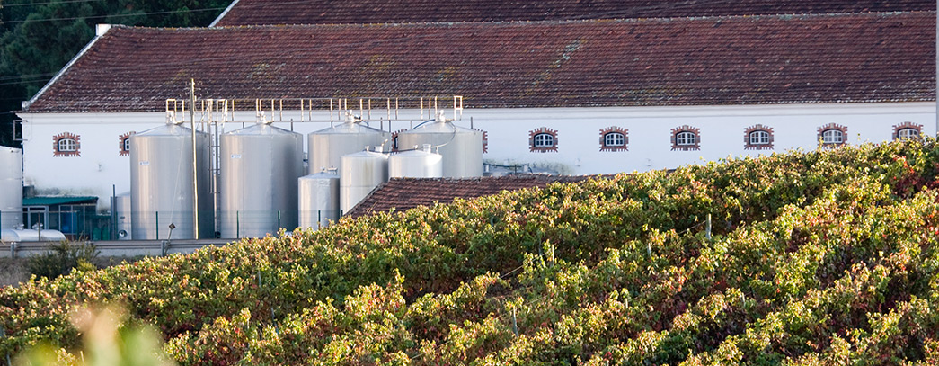 Quinta de S. Francisco