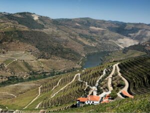Quinta da Gricha