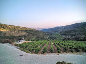 Quinta da Murta
