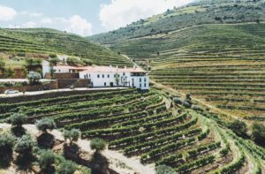 Quinta da Gricha