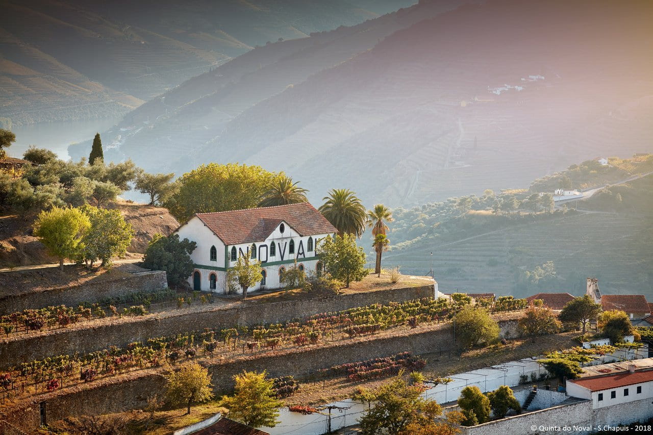 Aspeto da Quinta do Noval