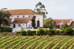 Quinta da Murta