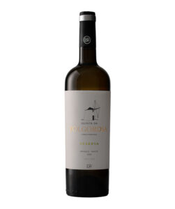 Arquivo de Soc. Agr. Quinta da Folgorosa