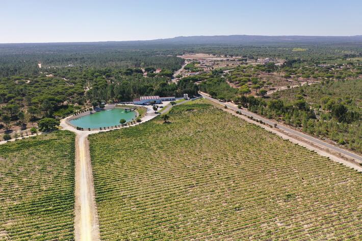 Palácio e Quinta da Bacalhôa Vista Superior