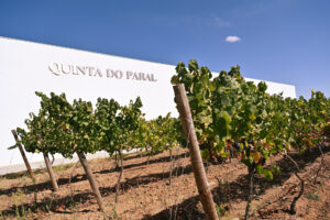 Entrada