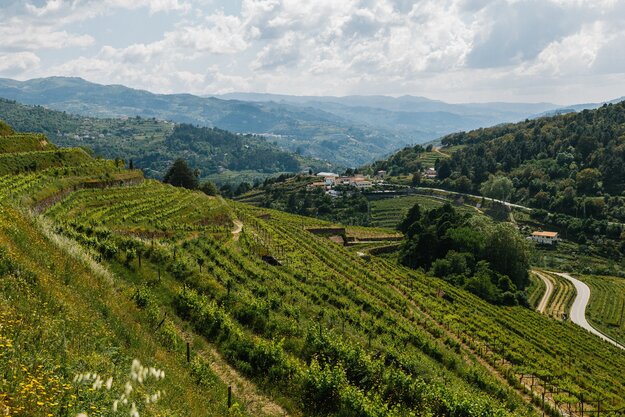Quinta do Avesso Vista Superior