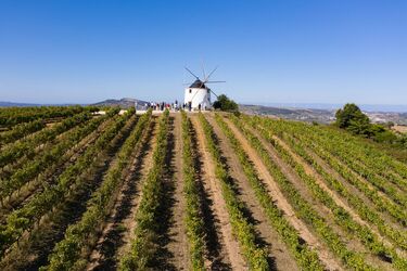 Quinta Da Folgorosa photo 
