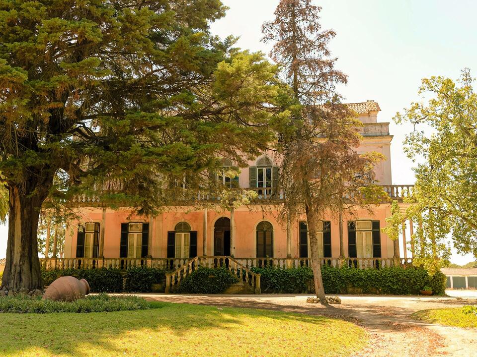 Quinta São João Batista - Experiencia de Poda