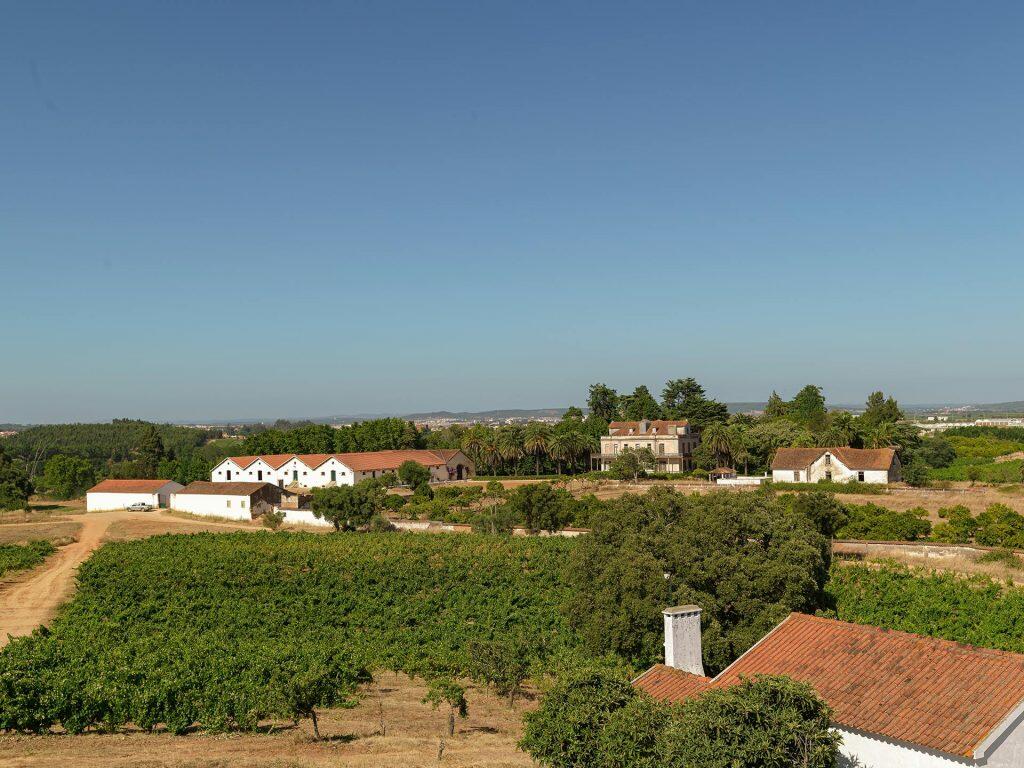 Quinta São João Batista Vista Superior