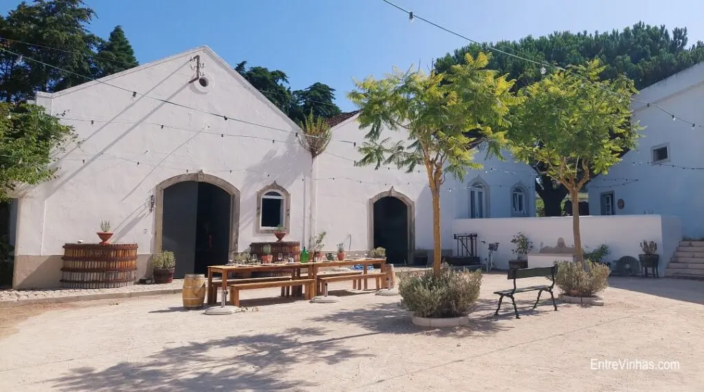Quinta da Boa Esperança Vinhos