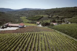 Quinta da Murta