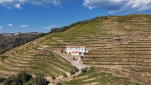 Quinta da Pedra Alta Vista Superior