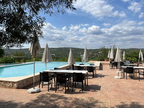 Quinta da Tôr photo