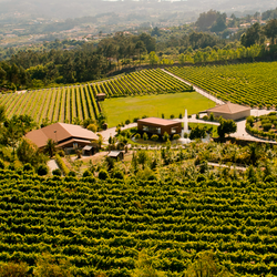 Quinta da Torre Vista Superior