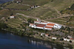 Quinta de la Rosa Vista Superior