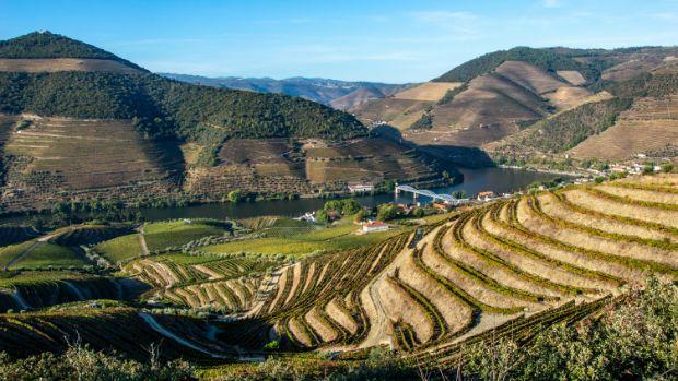 Quinta do Bomfim Vista Superior