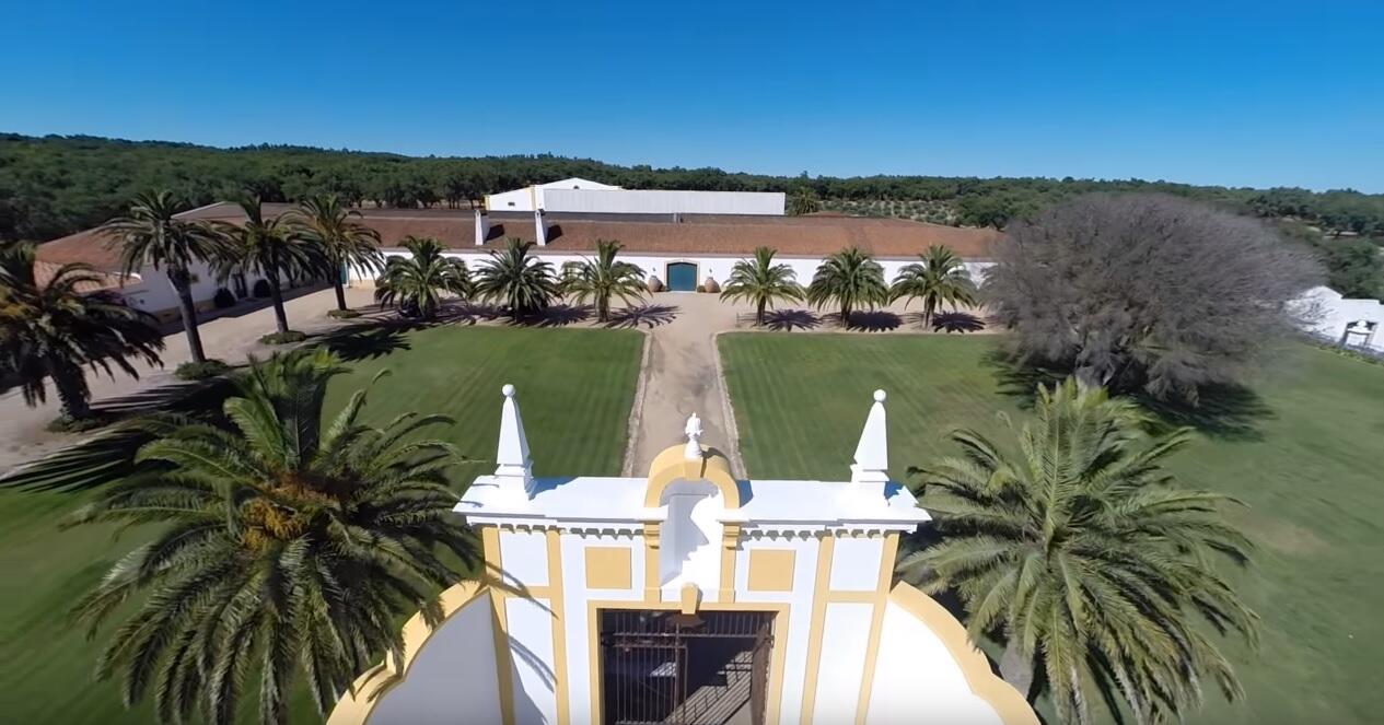 Quinta do Carmo Vista Superior