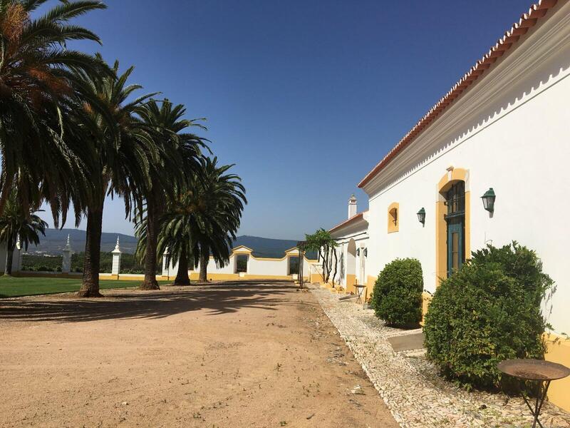 Quinta do Carmo – Visita & Prova Premium