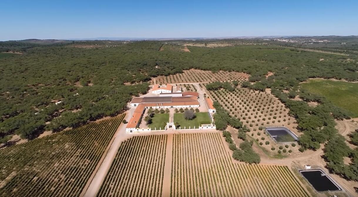 Quinta do Carmo – Visita & Prova Super Premium