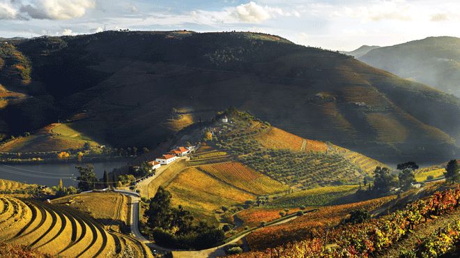 Quinta do Crasto Vista Superior