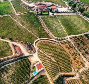 Quinta do Monte Travesso Vista Superior
