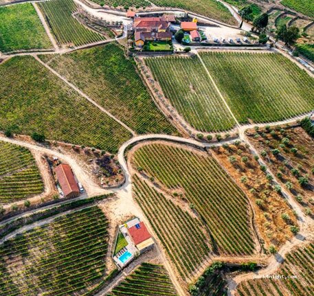 Quinta do Monte Travesso Vista Superior