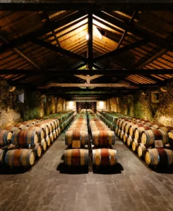Quinta do Monte d'Oiro Vinhos