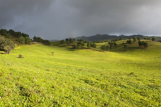Quinta do Pisão Cascais Ambiente