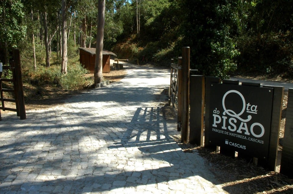 Quinta do Pisão