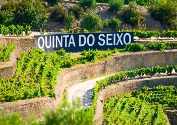 Quinta do Seixo - Port Wine