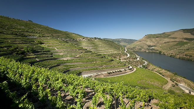 Quinta do Seixo Vista Superior