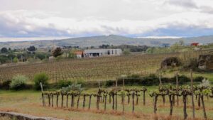 Quinta dos Termos - Garrafeira Grande Reserva