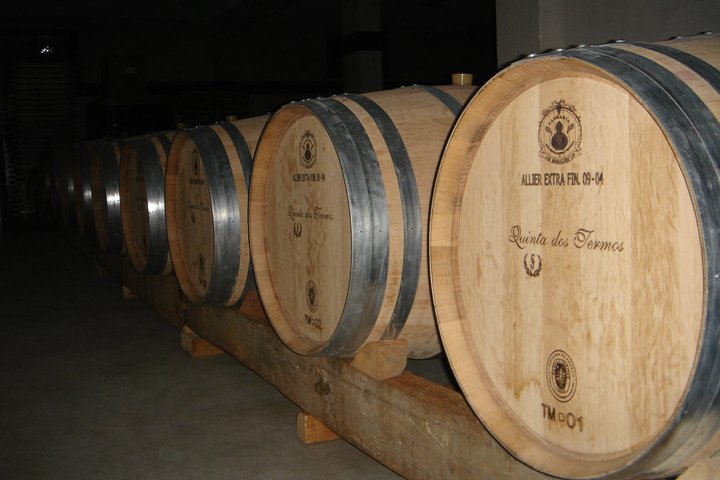 Quinta dos Termos - Turismo Centro Portugal