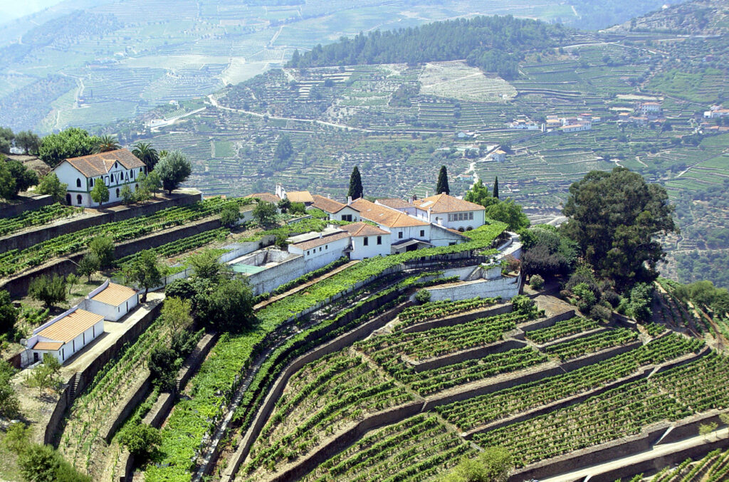 quinta do noval