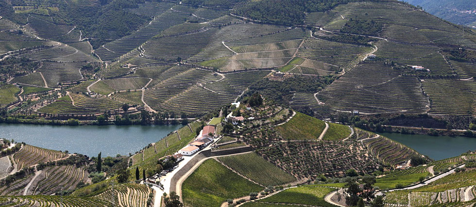 Vinhos Quinta do Crasto - The Yeatman Hotel