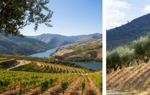Quinta de Ventozelo