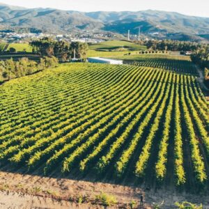 Quinta da Raza