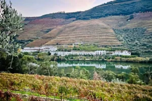 Quinta das Carvalhas