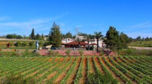 quinta dos vales wine estate