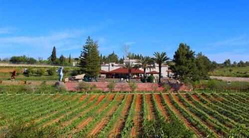quinta dos vales wine estate