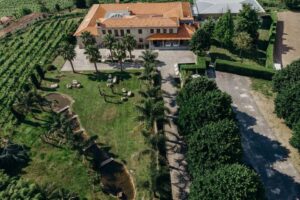 Quinta da Ferreirinha